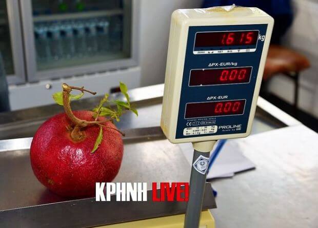 Ρόδι “γίγας” στα Τρίκαλα!!! - Ζυγίζει πάνω από 1,5 κιλό