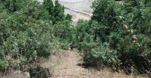 Σε γκρεμό Ι.Χ. έξω από την Καλαμπάκα