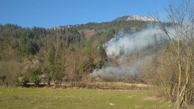 Μεγάλη πυρκαγιά σε δασική έκταση στις Λογγιές Πύλης