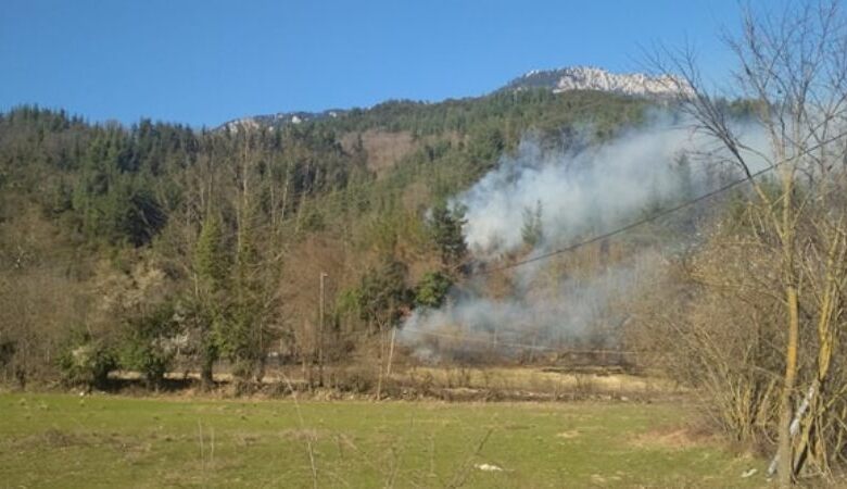 Μεγάλη πυρκαγιά σε δασική έκταση στις Λογγιές Πύλης