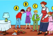 Τεστ Προσωπικότητας: Ποιο από τα παιδιά έσπασε το βάζο;