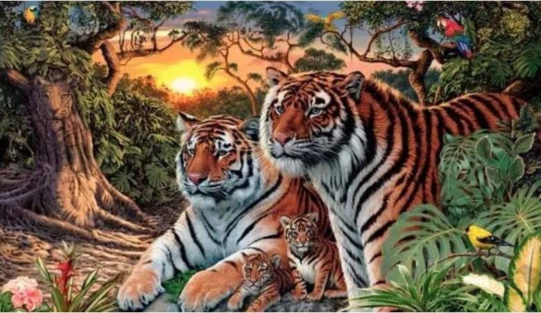 Η οφθαλμαπάτη που έγινε viral και κανείς δεν μπορεί να βρει τις 16 τίγρεις