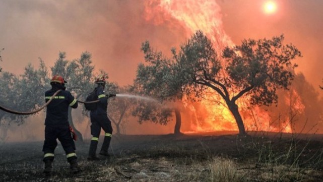 Σε πύρινο κλοιό η χώρα: 53 φωτιές το τελευταίο 24ωρο - Αγωνία για Έβρο και Λέσβο