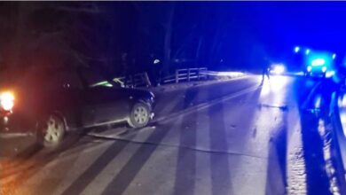 Αγριογούρουνο προκάλεσε τροχαίο ατύχημα έξω από την Καλαμπάκα