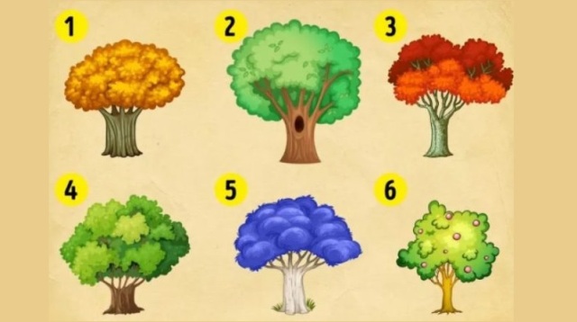 Κουίζ: Διαλέξτε ένα δέντρο και δείτε τις αλλαγές που θα κάνετε στη ζωή σας