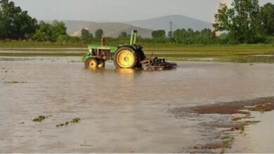 Το σχέδιο των Ολλανδών για τη «θωράκιση» του Θεσσαλικού κάμπου