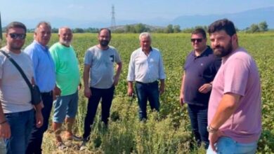 Στις πληγείσες από την κακοκαιρία περιοχές κλιμάκιο του ΕΛΓΑ