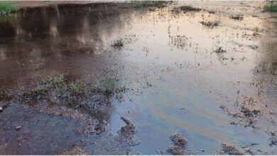 Καταγγελία για “ποτάμι” λυματολάσπης με έντονη δυσοσμία στο Κεφαλόβρυσο
