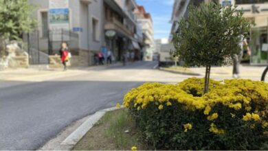 Περισσότερα λουλούδια και πράσινο στην πόλη των Τρικάλων