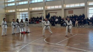 Παρουσίαση του Taekwondo στο 5ο Γυμνάσιο Τρικάλων