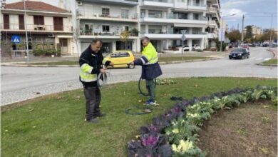 Ολοκληρώνεται ο χριστουγεννιάτικος φωτισμός των Τρικάλων